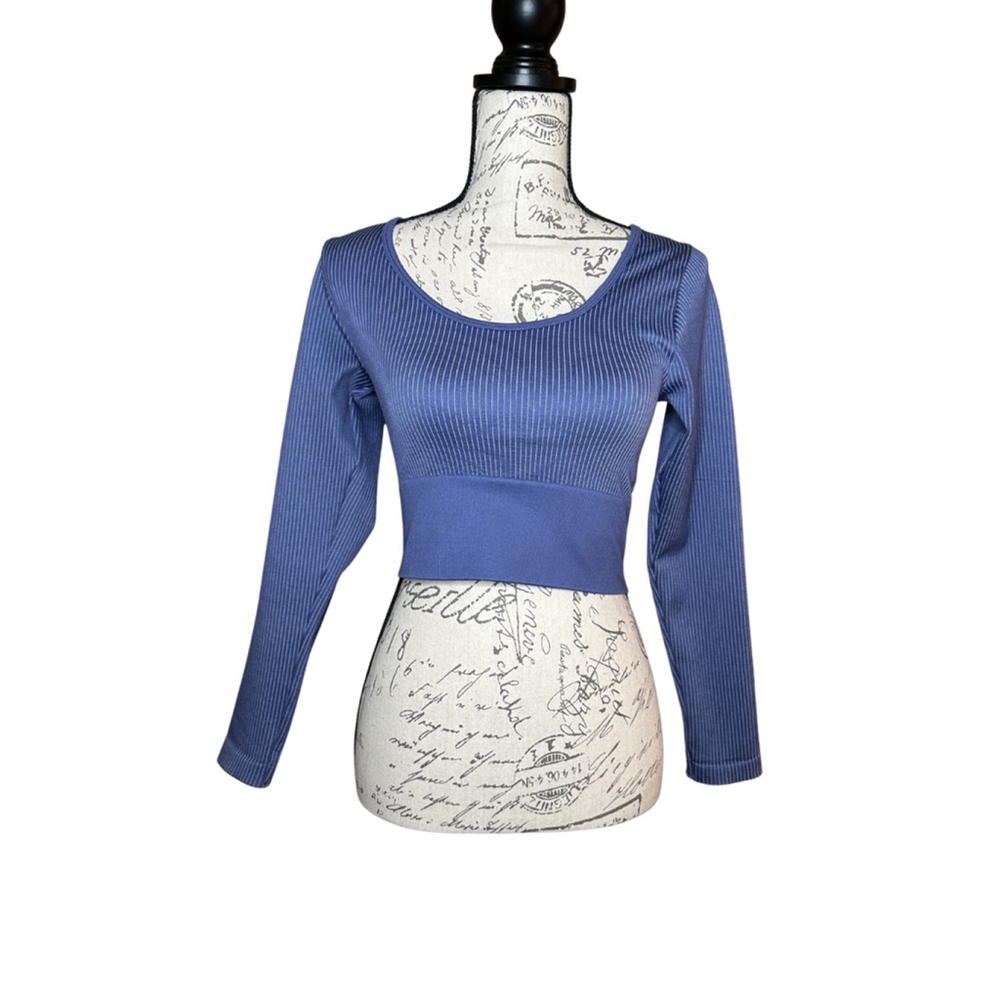 Offline by Aerie Sz M Sidewalk Seamless Blue Long Sleeve Ribbed Workout Crop Top